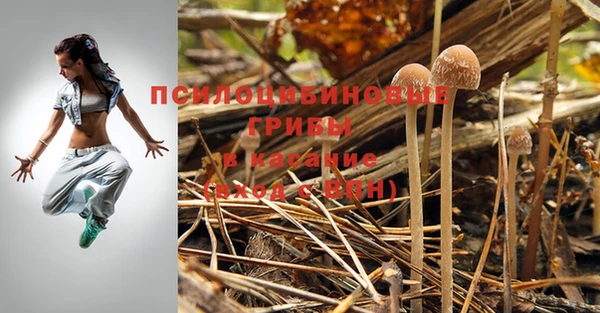 круглые Верея