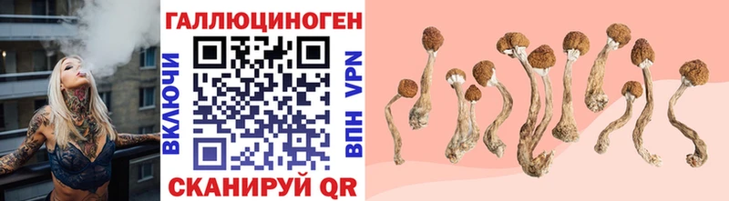 Галлюциногенные грибы ЛСД  Нелидово 